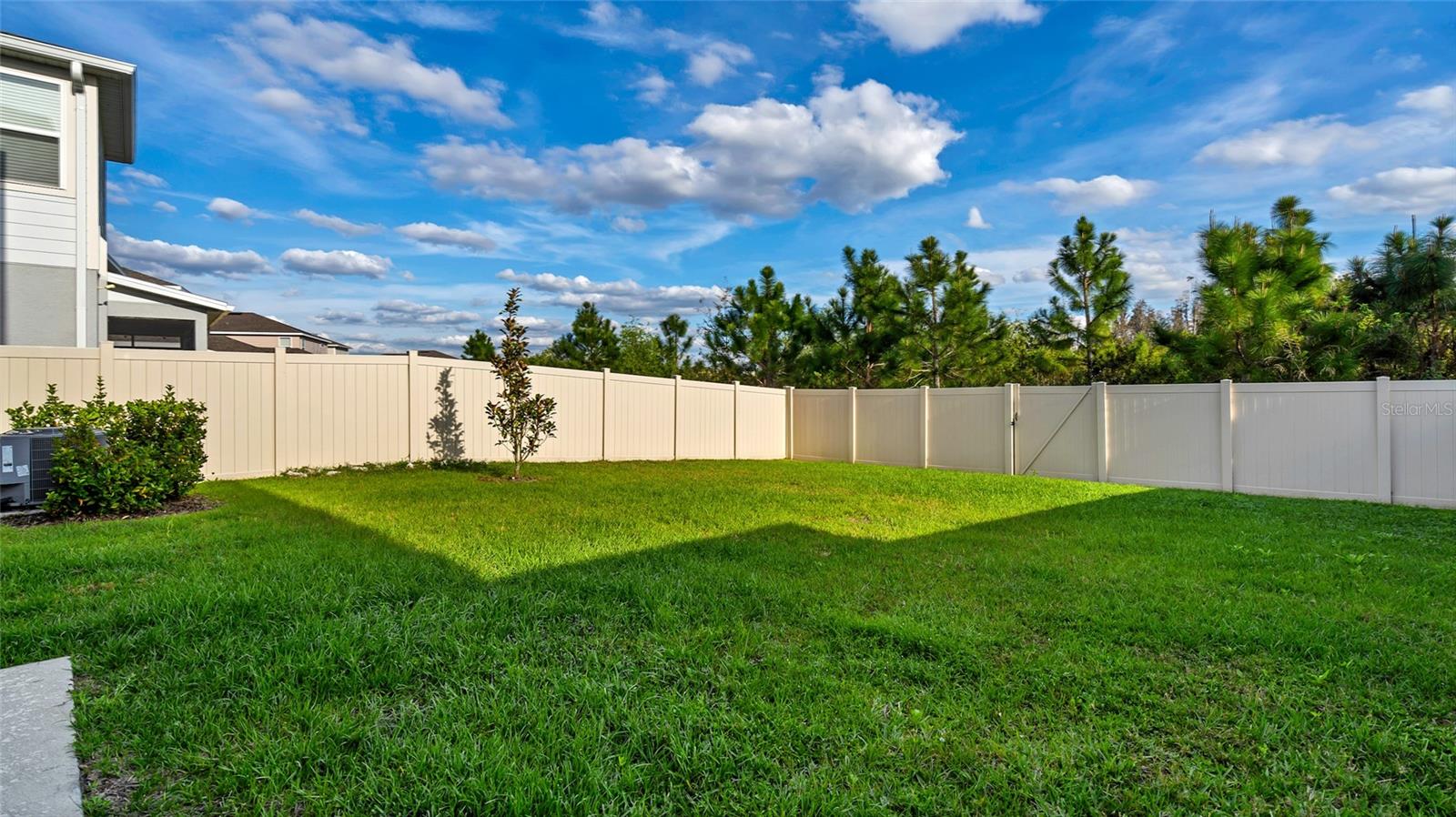 10735 HAWKS LANDING DR, LAND O LAKES, FL, 34638