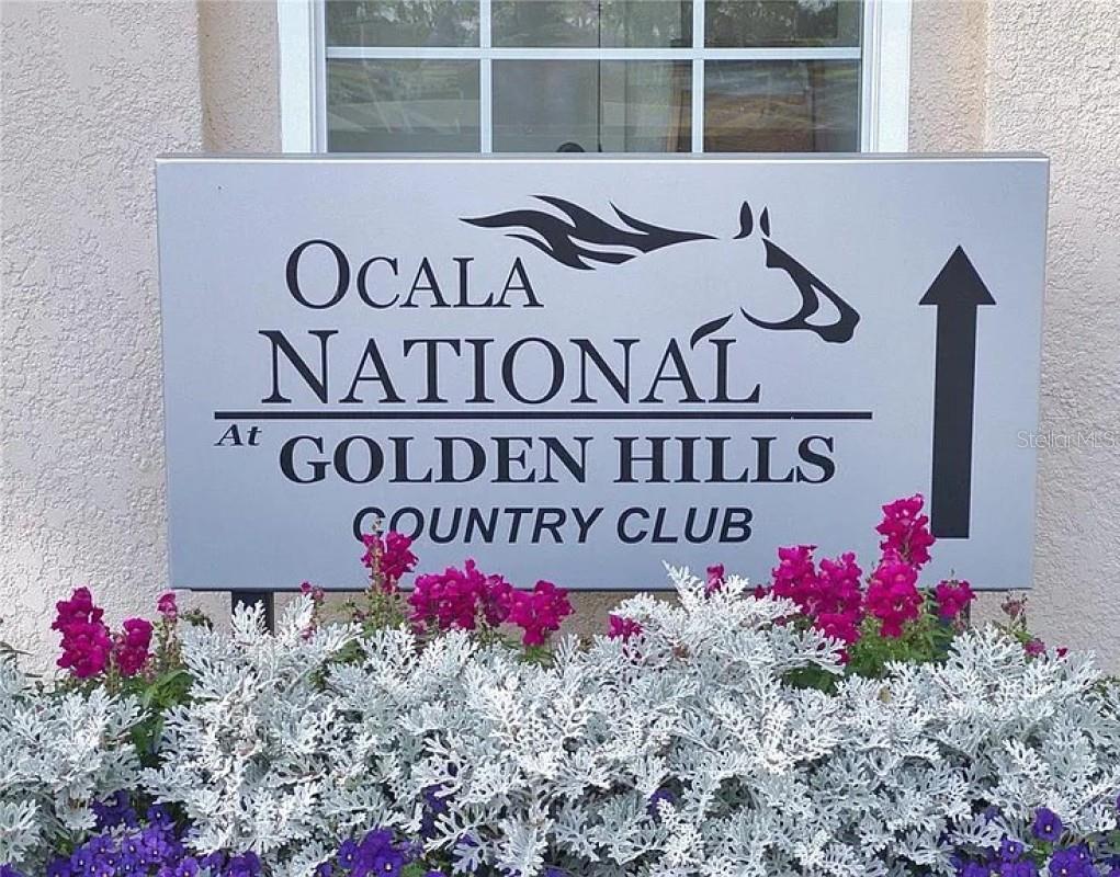 7699 NW 56TH PL, OCALA, FL, 34482