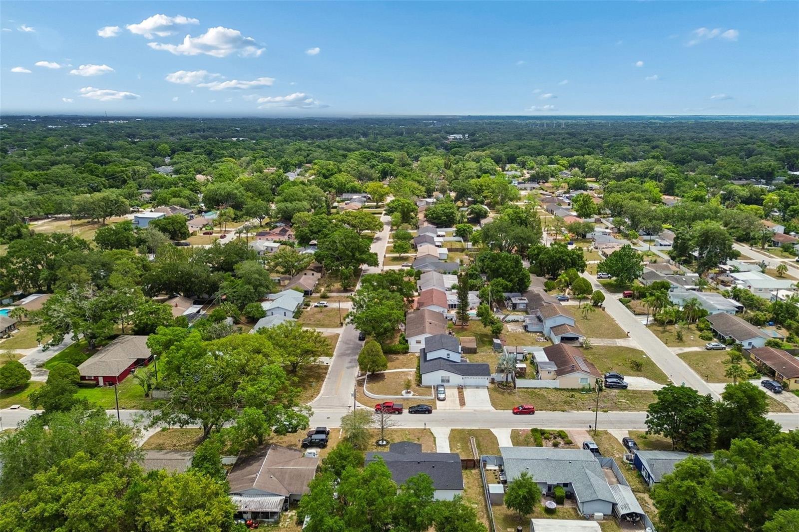 11006 N 61ST ST, TAMPA, FL, 33617