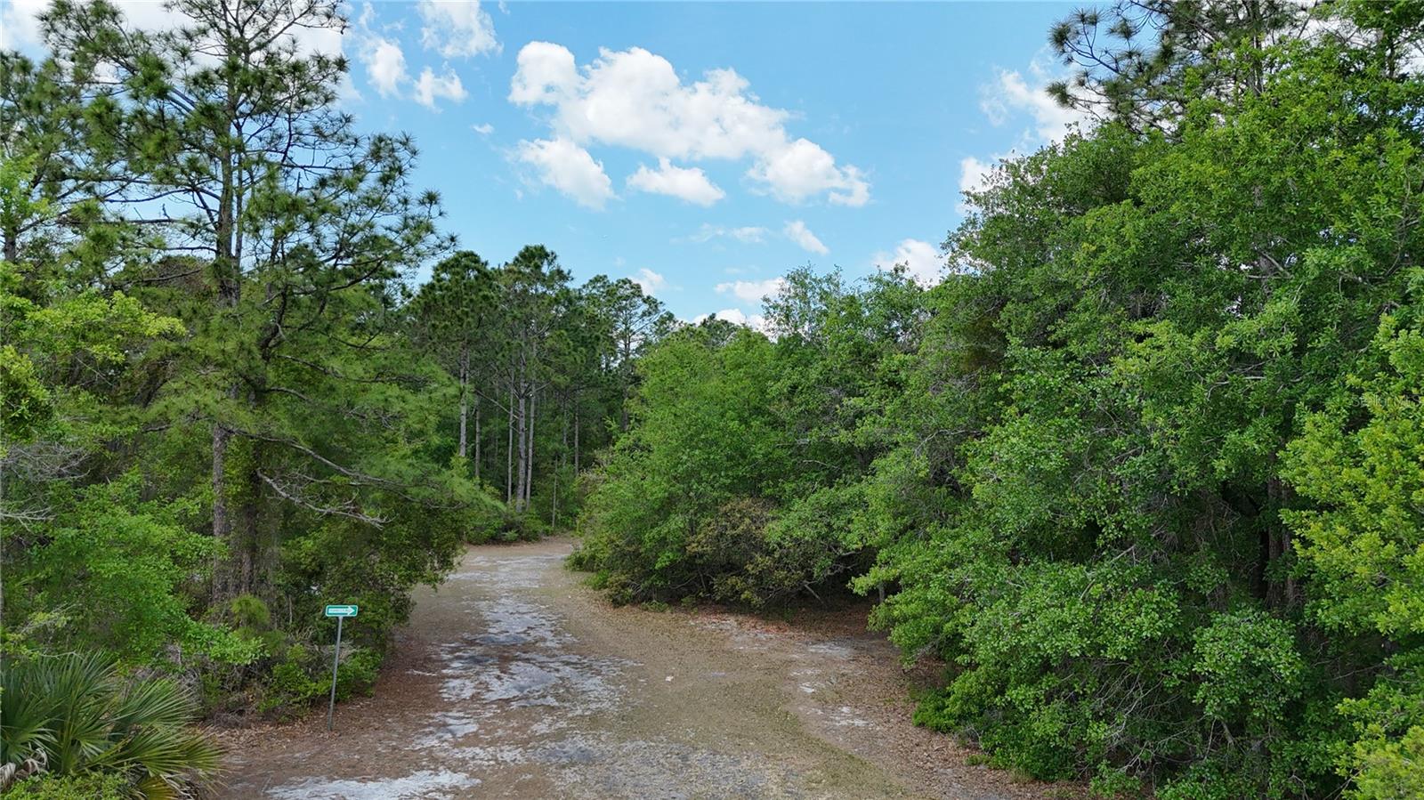 1311 PINE ISLAND DR N, ST CLOUD, FL, 34771