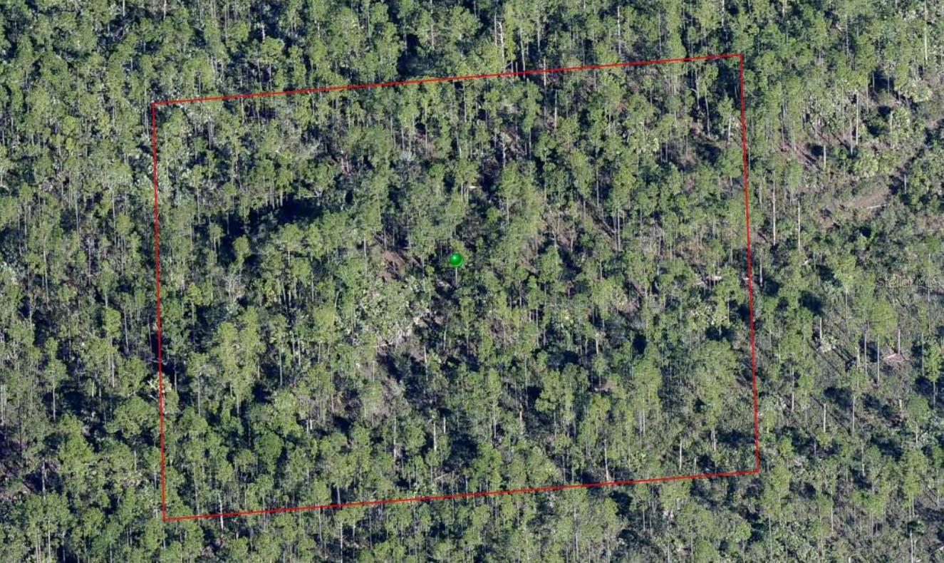 LAKE HARNEY RD, OSTEEN, FL, 32764