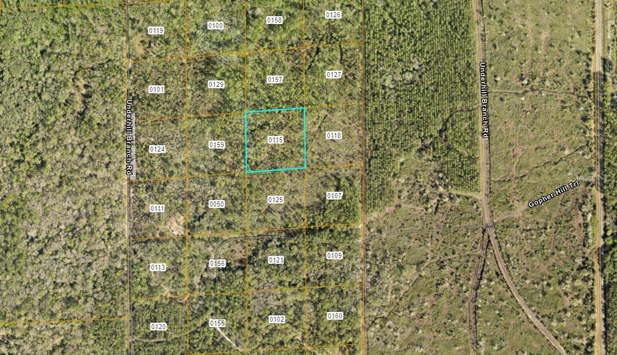 LAKE HARNEY RD, OSTEEN, FL, 32764