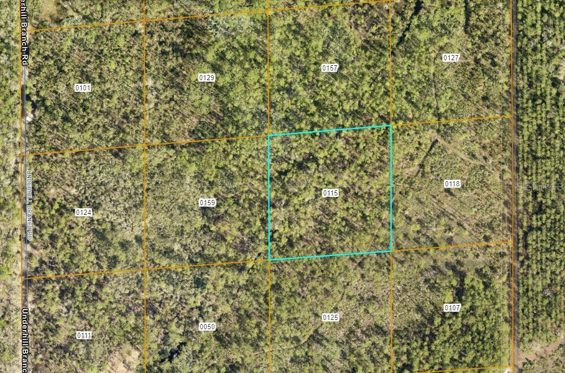 LAKE HARNEY RD, OSTEEN, FL, 32764