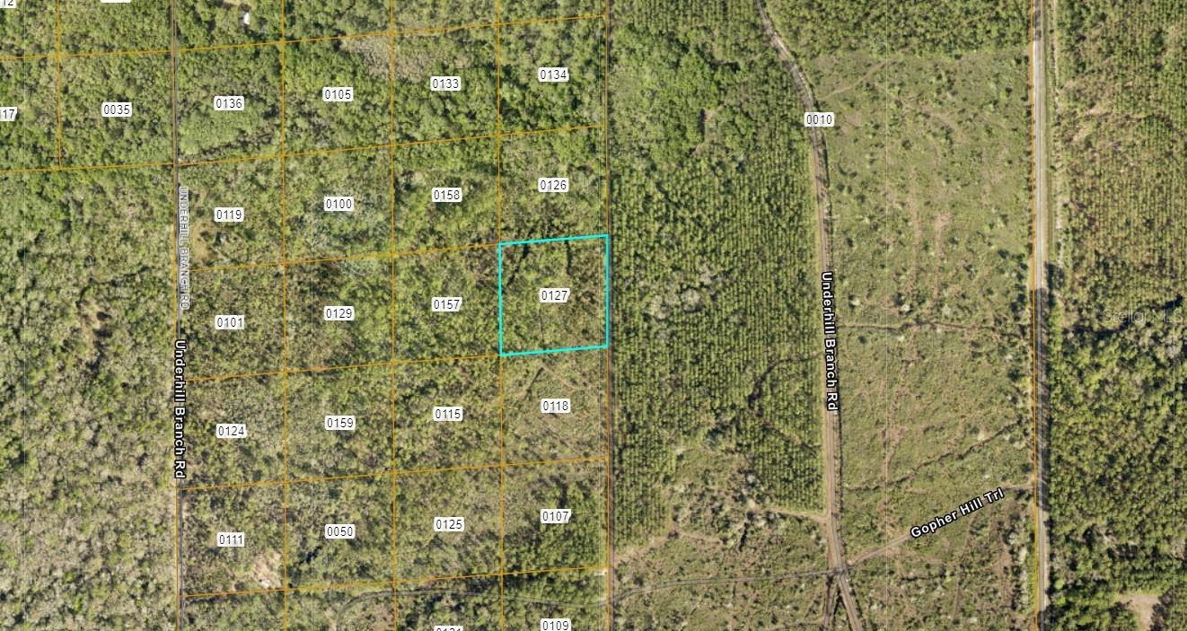 LAKE HARNEY RD, OSTEEN, FL, 32764