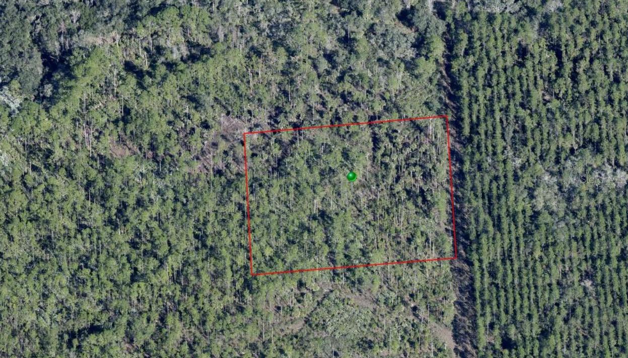 LAKE HARNEY RD, OSTEEN, FL, 32764