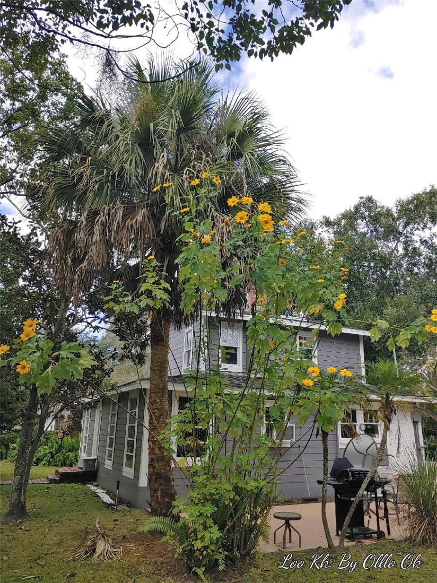 1419 KING ST, KISSIMMEE, FL, 34741