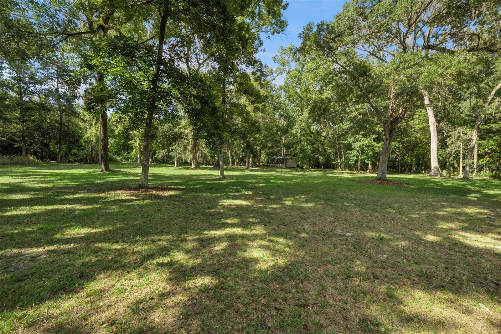 21033 VIOLET RD, BROOKSVILLE, FL, 34601