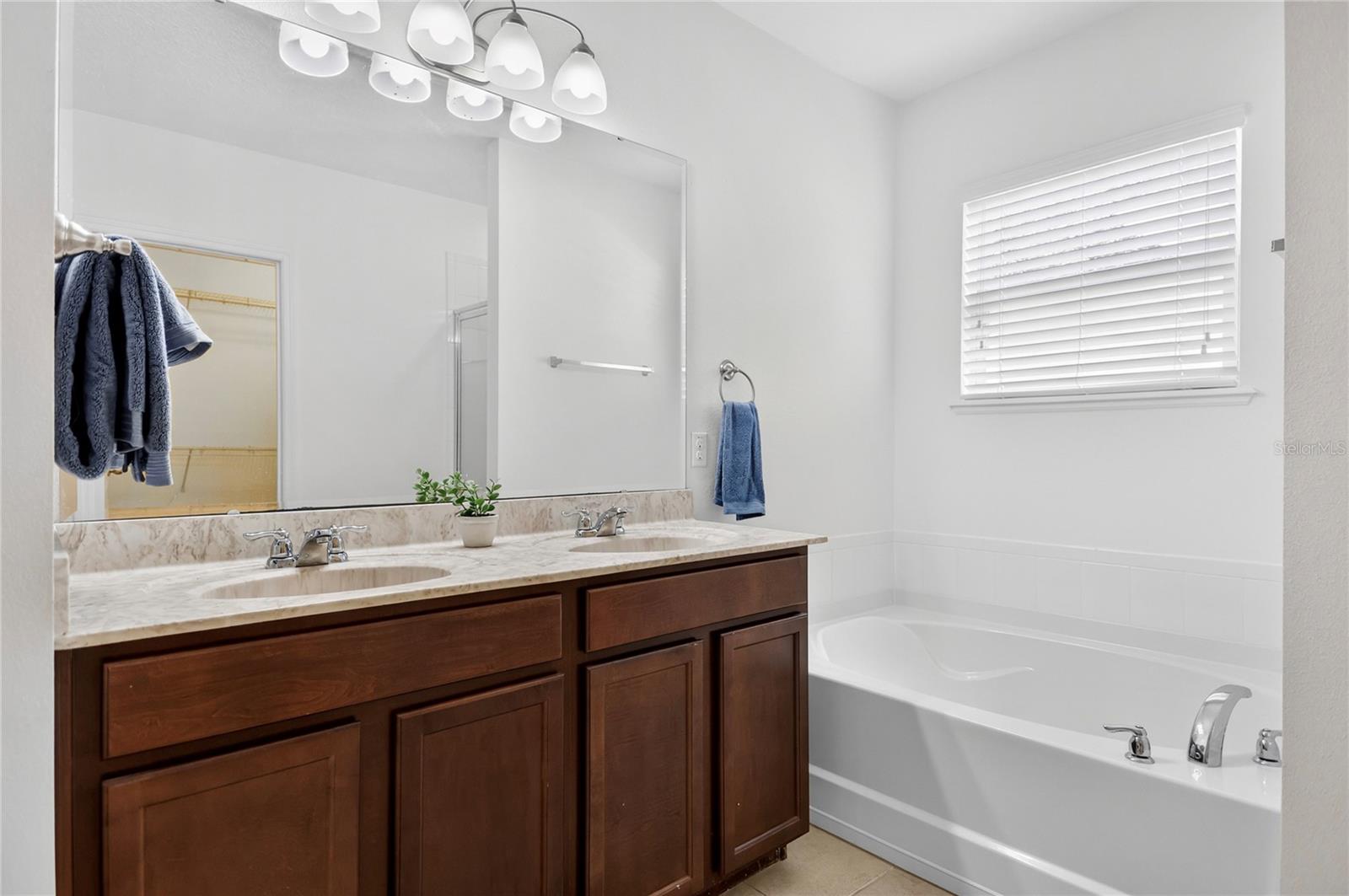 345 RED KITE DR, GROVELAND, FL, 34736