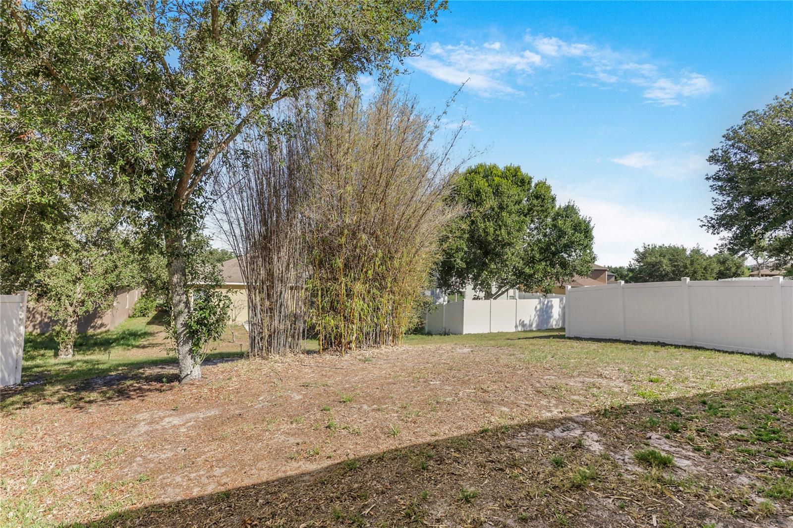 345 RED KITE DR, GROVELAND, FL, 34736