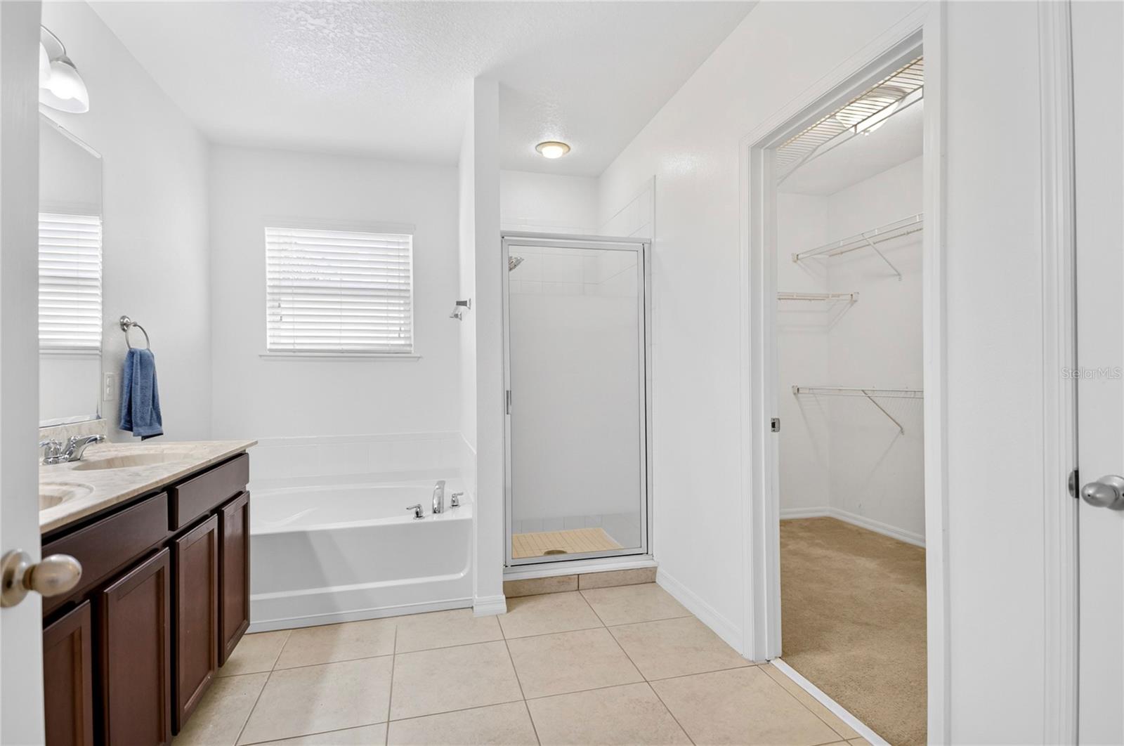 345 RED KITE DR, GROVELAND, FL, 34736