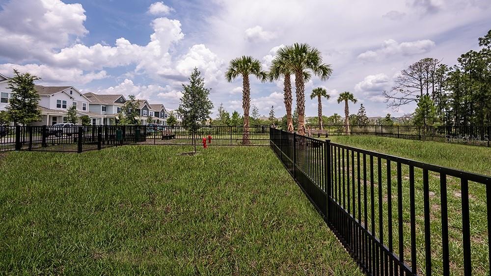 14784 FIELD DAISY DR, WINTER GARDEN, FL, 34787