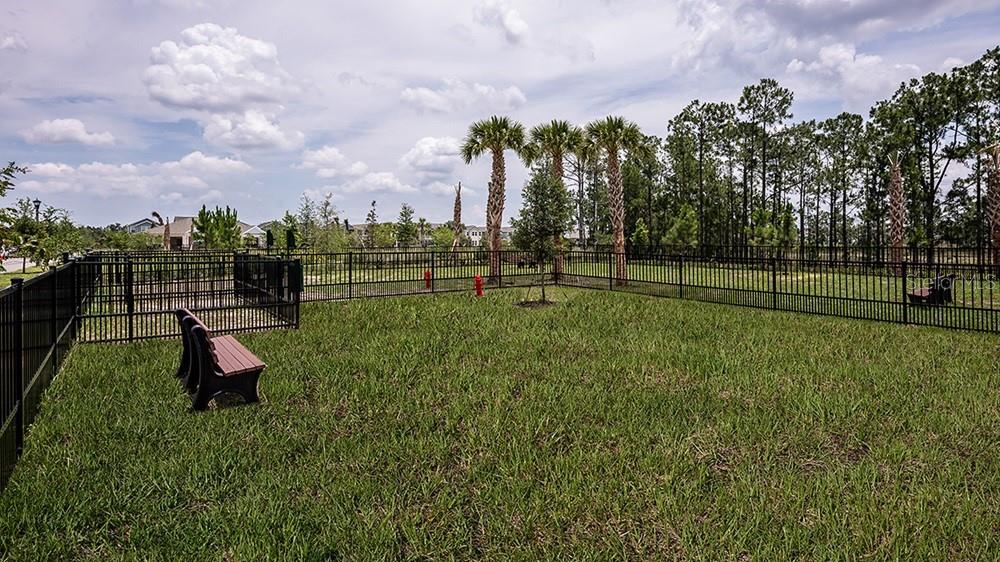 14784 FIELD DAISY DR, WINTER GARDEN, FL, 34787