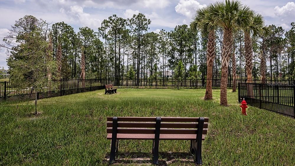 14784 FIELD DAISY DR, WINTER GARDEN, FL, 34787