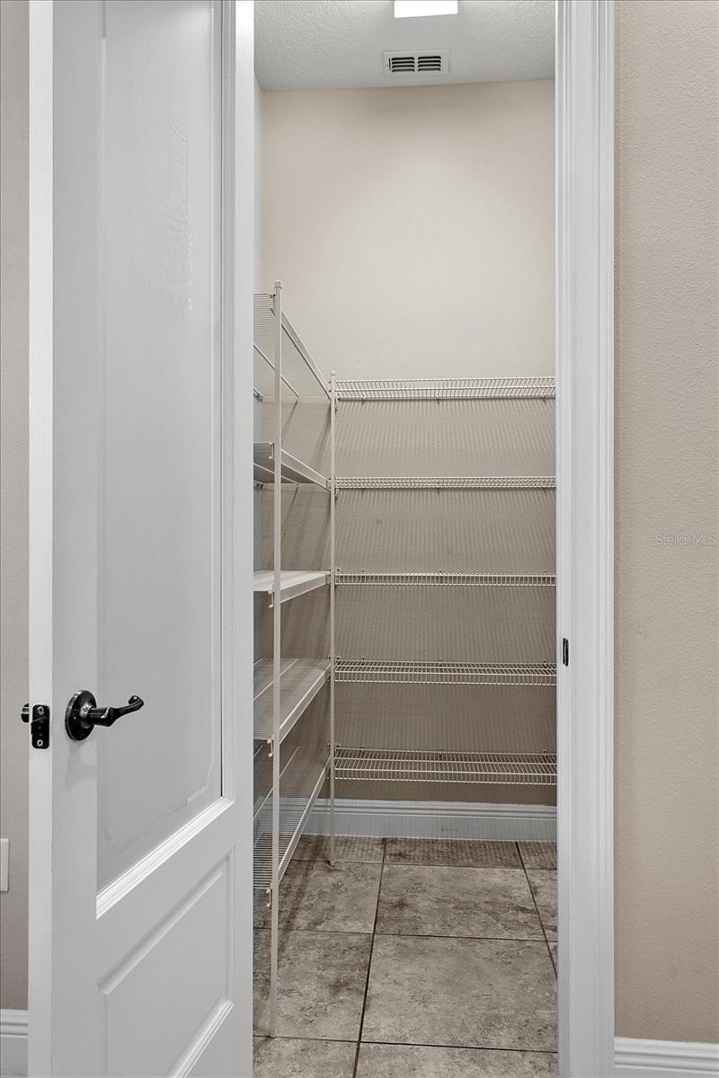 15047 GAULBERRY RUN, WINTER GARDEN, FL, 34787