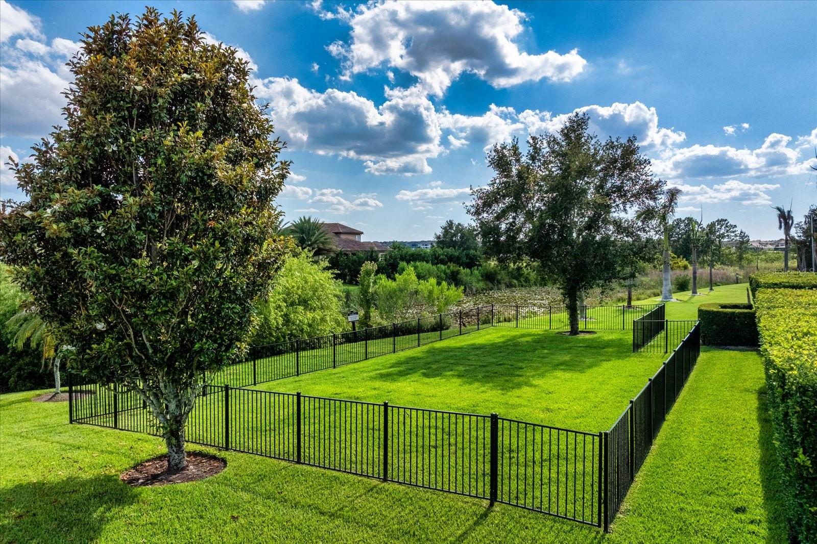 15047 GAULBERRY RUN, WINTER GARDEN, FL, 34787