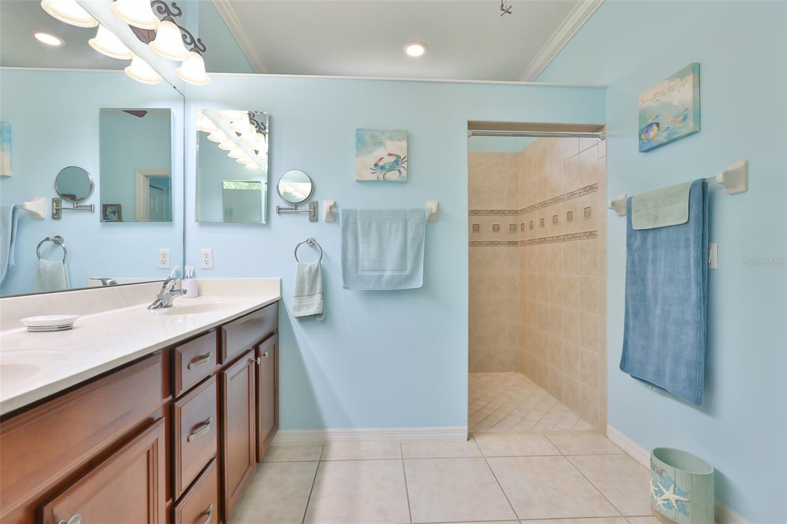 147 SILVER FALLS DR, APOLLO BEACH, FL, 33572