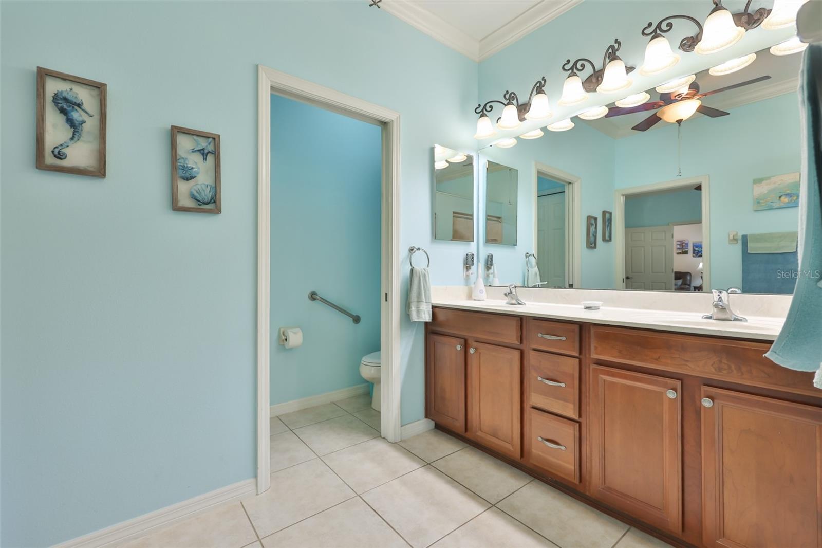 147 SILVER FALLS DR, APOLLO BEACH, FL, 33572