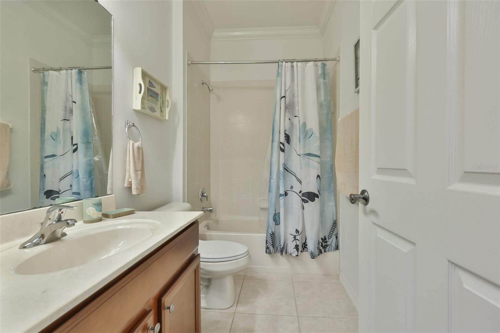 147 SILVER FALLS DR, APOLLO BEACH, FL, 33572