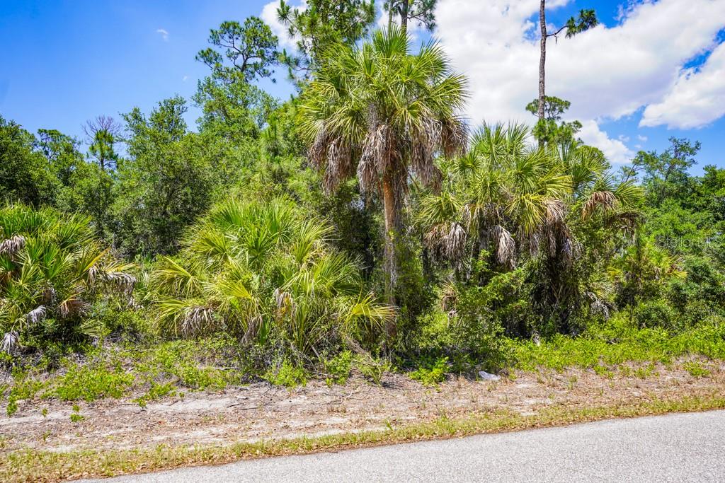 17428 IAGO AVE, PORT CHARLOTTE, FL, 33954