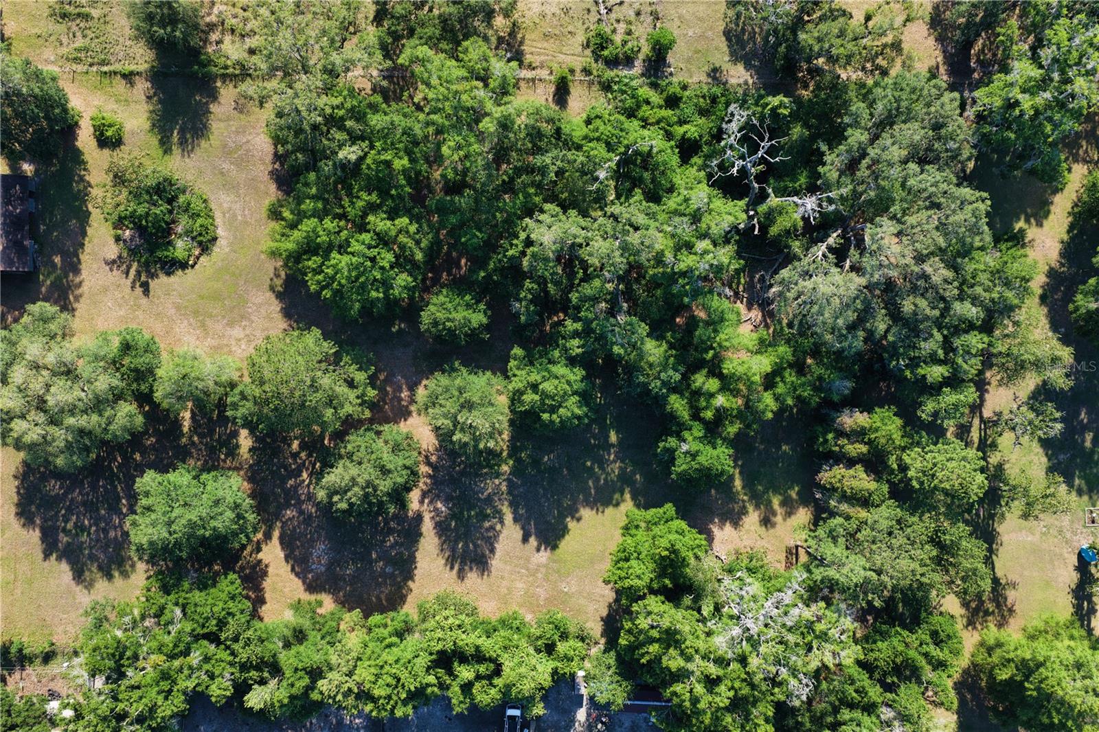 19328 SW 58TH PL, ARCHER, FL, 32618