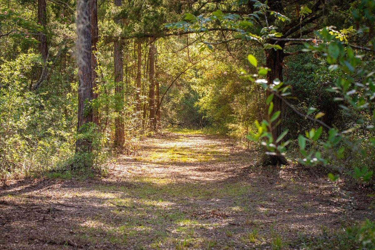 11418 NW 161ST ST, ALACHUA, FL, 32615