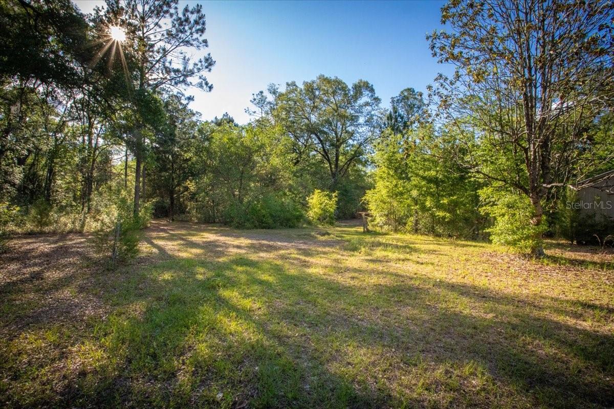 11418 NW 161ST ST, ALACHUA, FL, 32615