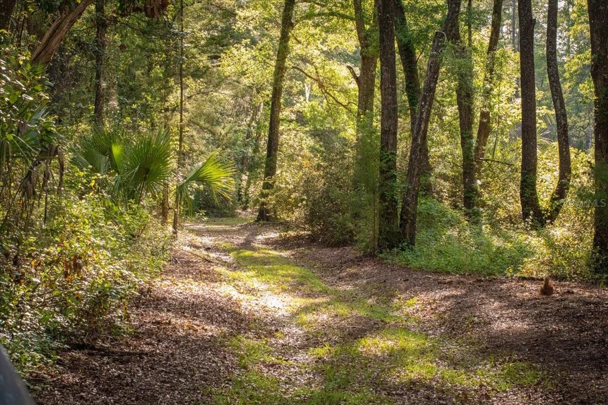 11418 NW 161ST ST, ALACHUA, FL, 32615