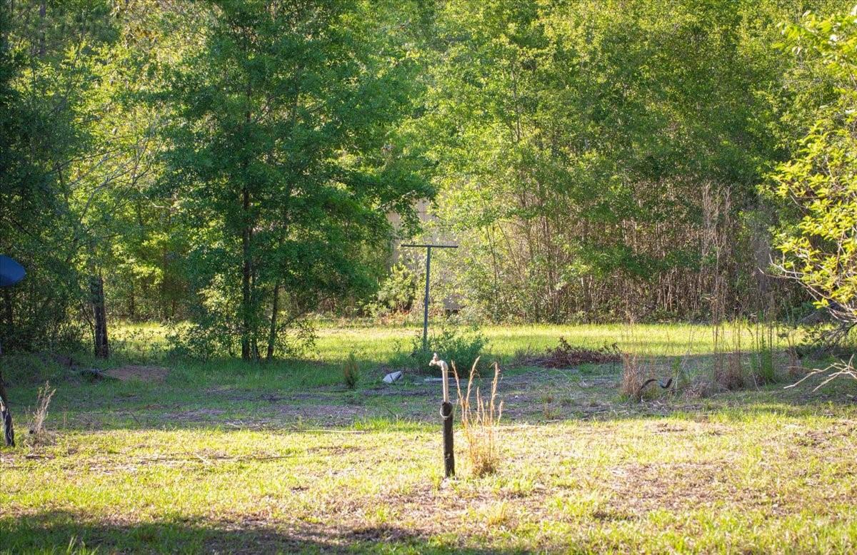 11418 NW 161ST ST, ALACHUA, FL, 32615