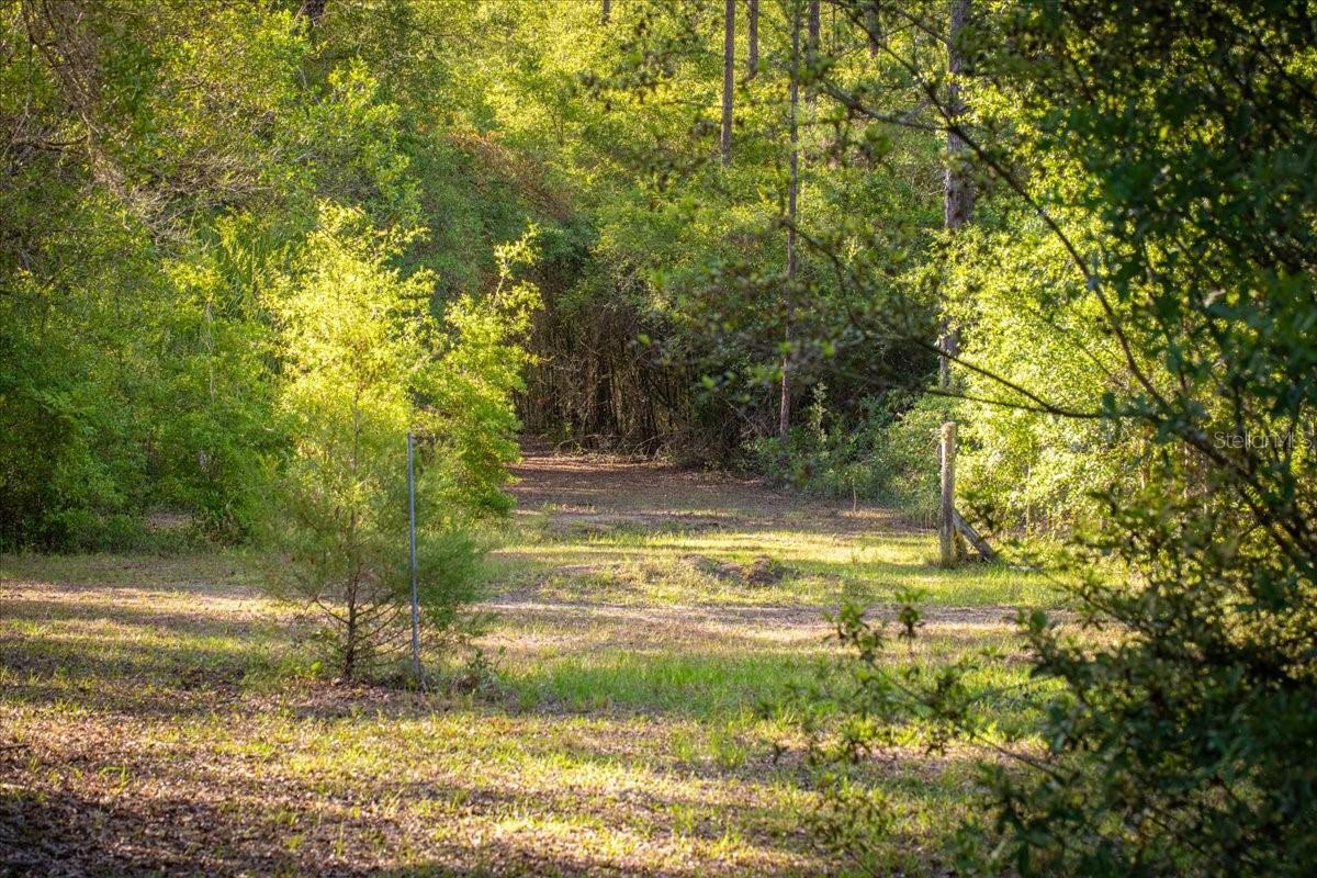 11418 NW 161ST ST, ALACHUA, FL, 32615