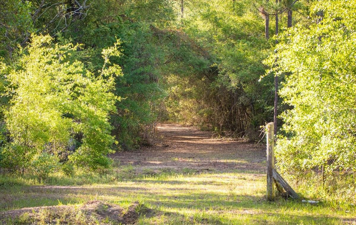 11418 NW 161ST ST, ALACHUA, FL, 32615