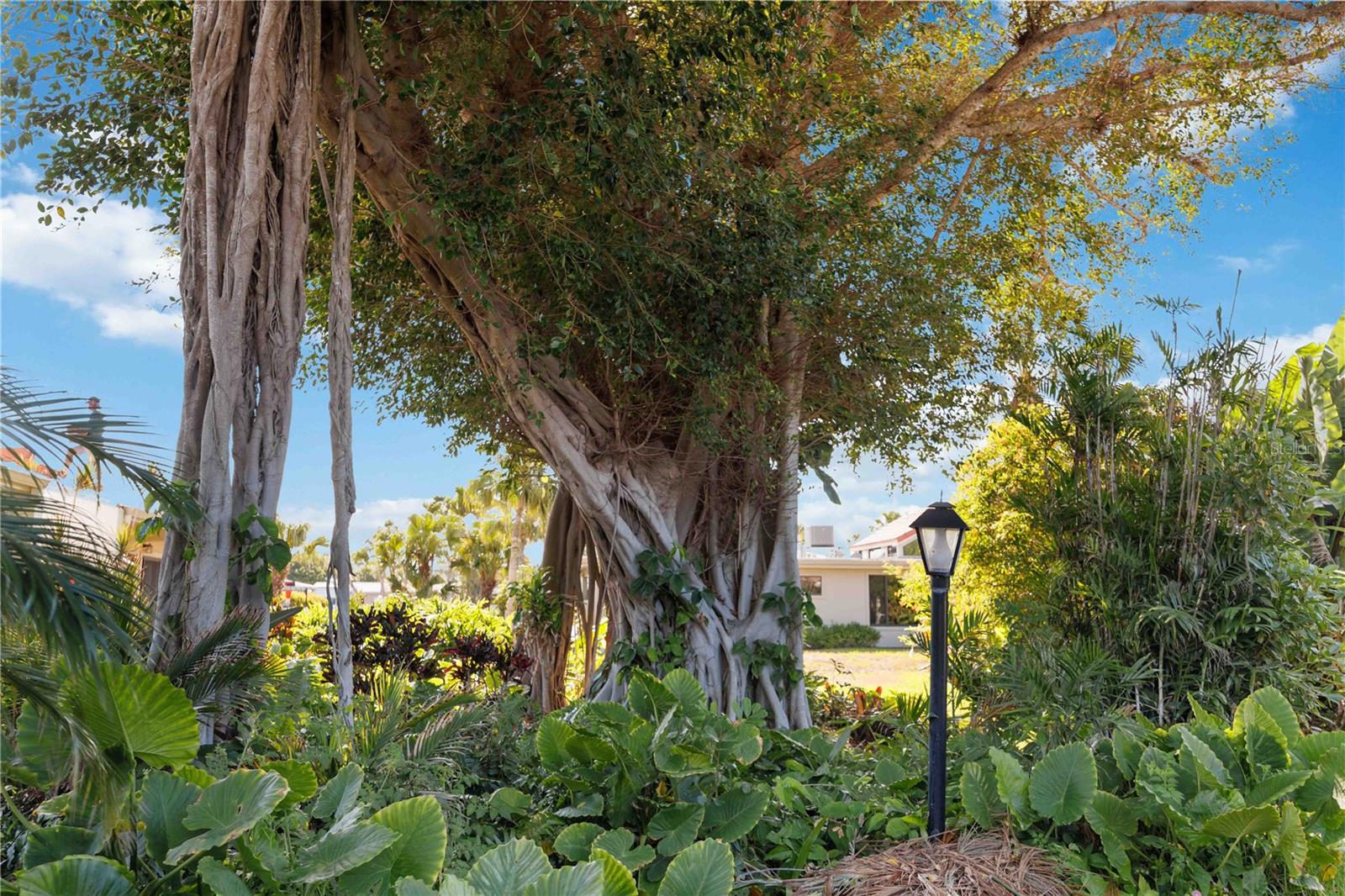 500 PARK BLVD S #22, VENICE, FL, 34285