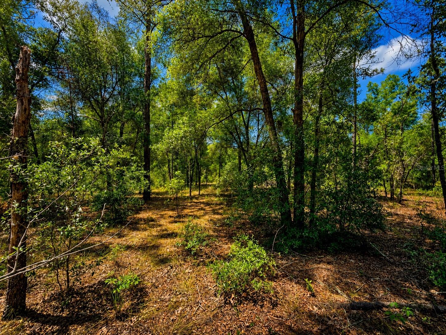 TBD SW 93RD PLACE, DUNNELLON, FL, 34432