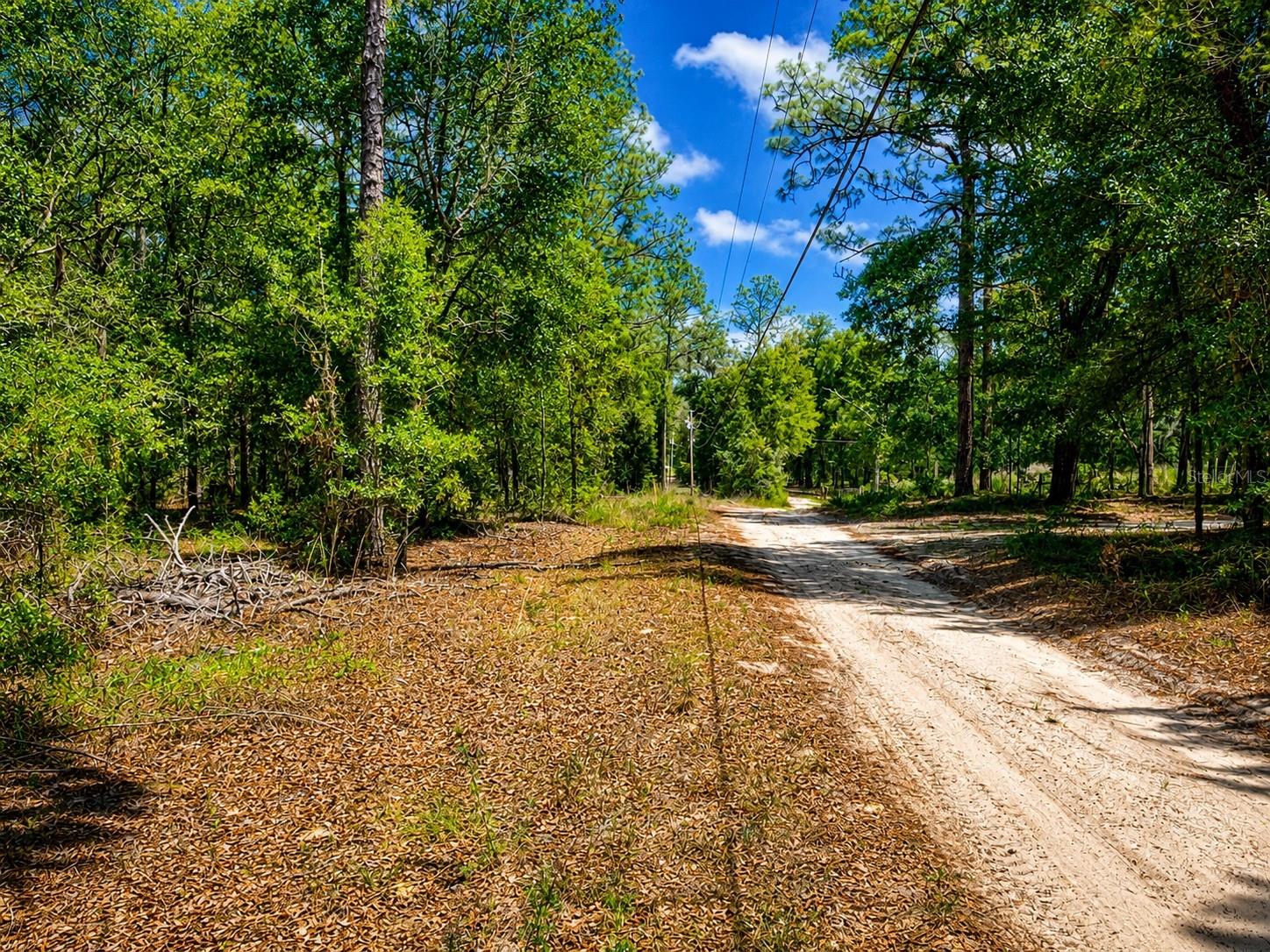 TBD SW 93RD PLACE, DUNNELLON, FL, 34432