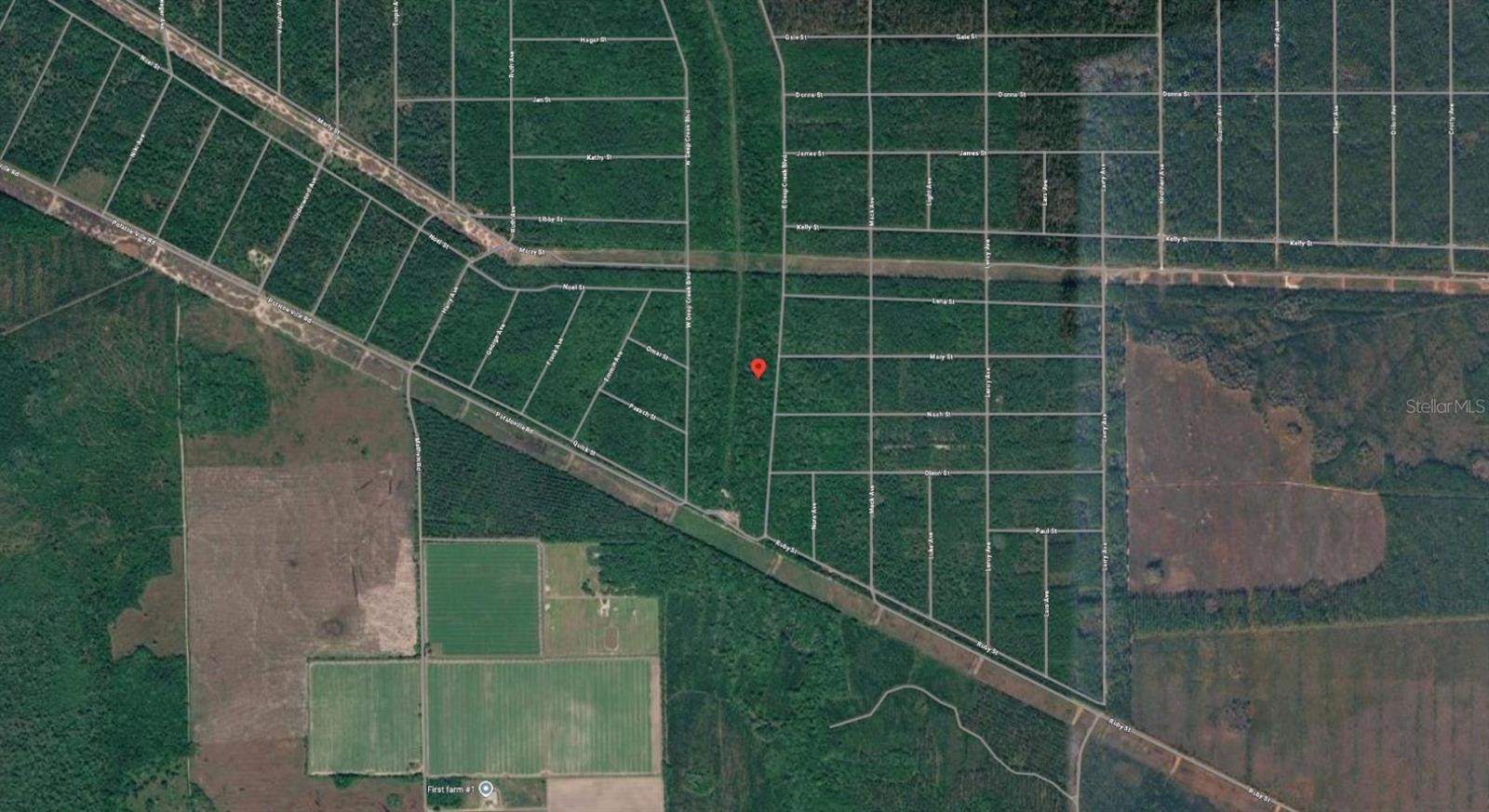 E DEEP CREEK BLVD, HASTINGS, FL, 32145