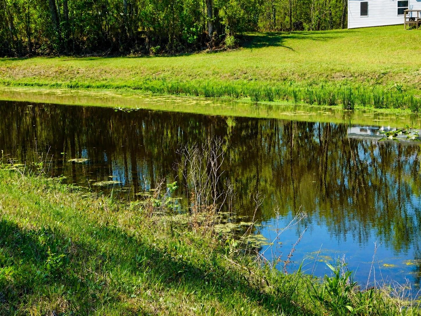 E DEEP CREEK BLVD, HASTINGS, FL, 32145