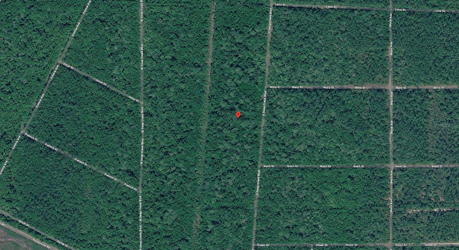 E DEEP CREEK BLVD, HASTINGS, FL, 32145