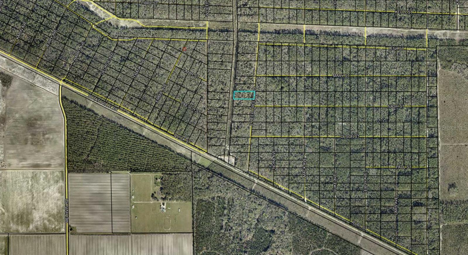 E DEEP CREEK BLVD, HASTINGS, FL, 32145