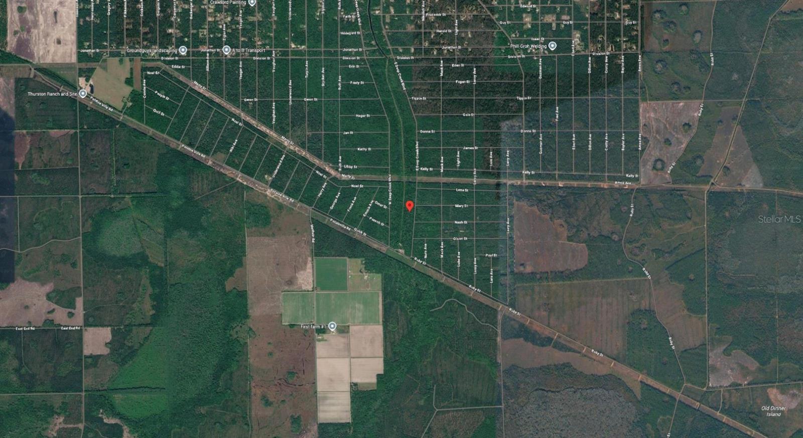 E DEEP CREEK BLVD, HASTINGS, FL, 32145