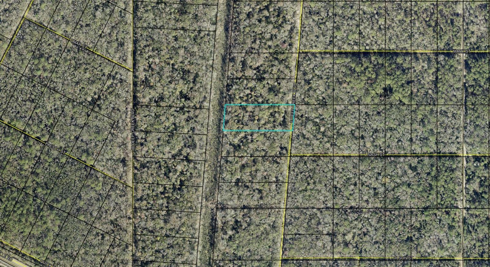 E DEEP CREEK BLVD, HASTINGS, FL, 32145