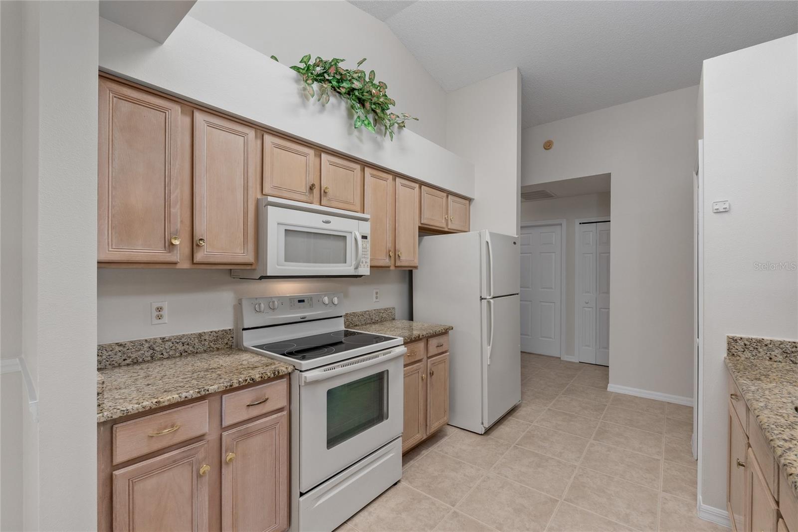 5319 TANGELO ST, LEESBURG, FL, 34748