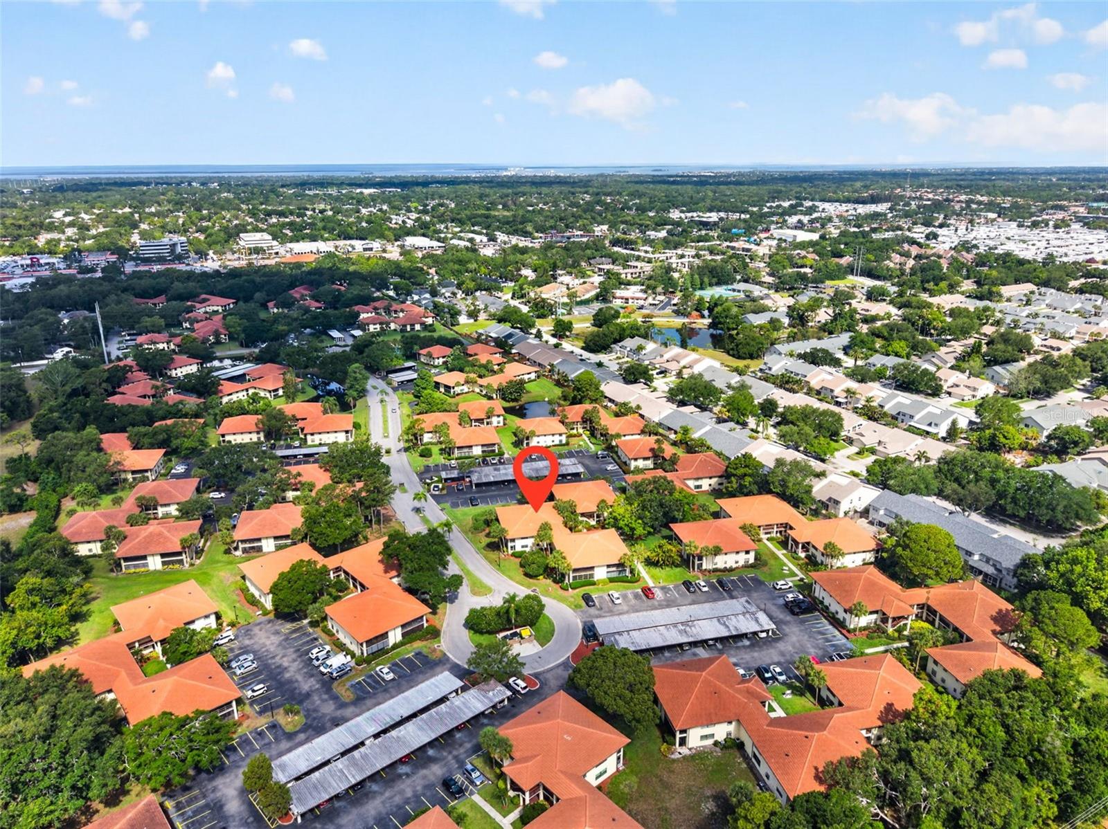 1012 HAMMOCK PINE BLVD #1012, CLEARWATER, FL, 33761