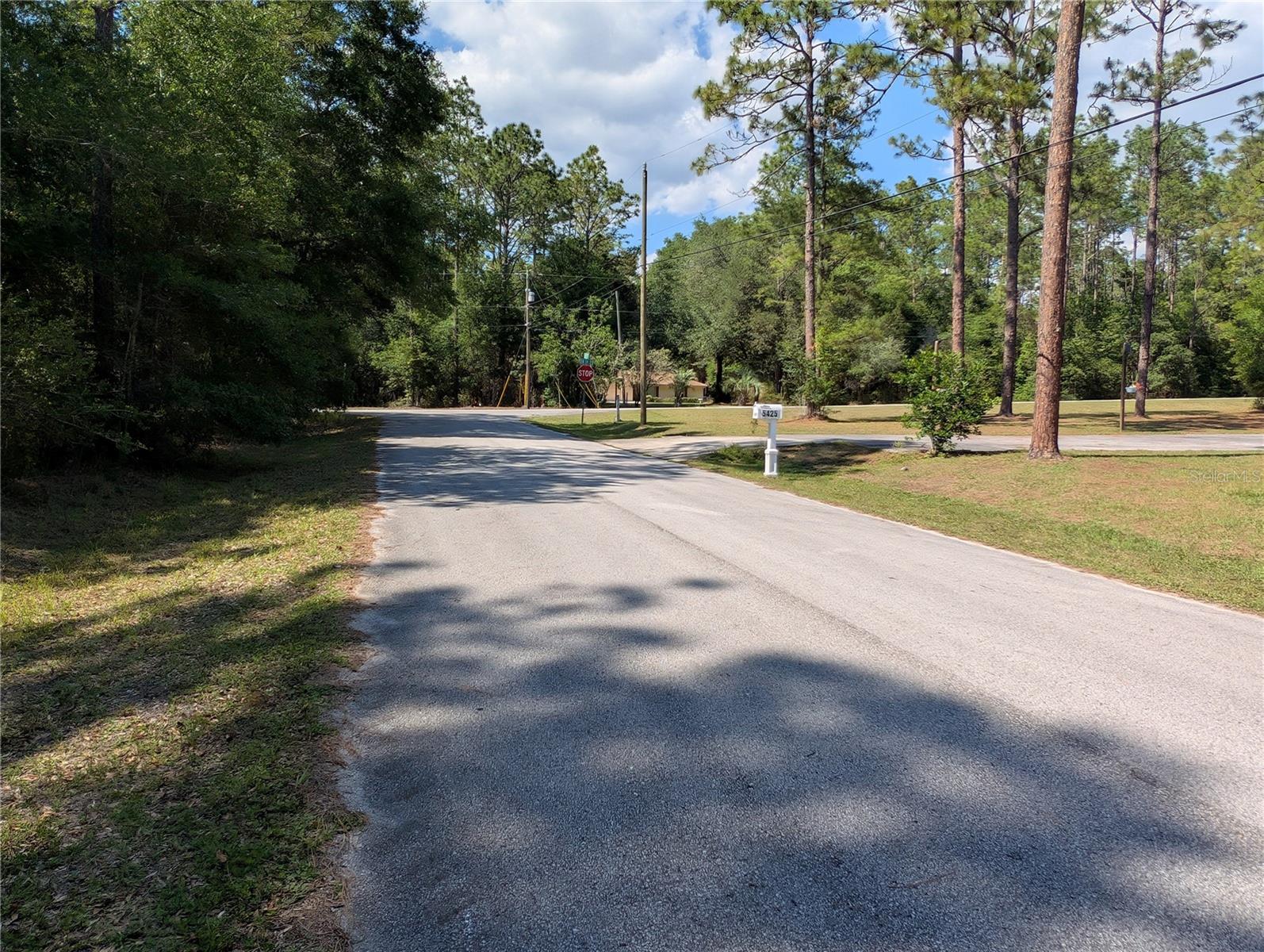 202ND CT, DUNNELLON, FL, 34431