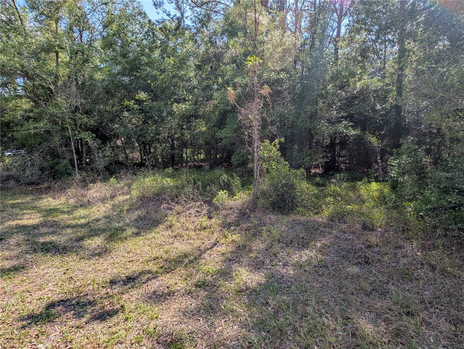 202ND CT, DUNNELLON, FL, 34431