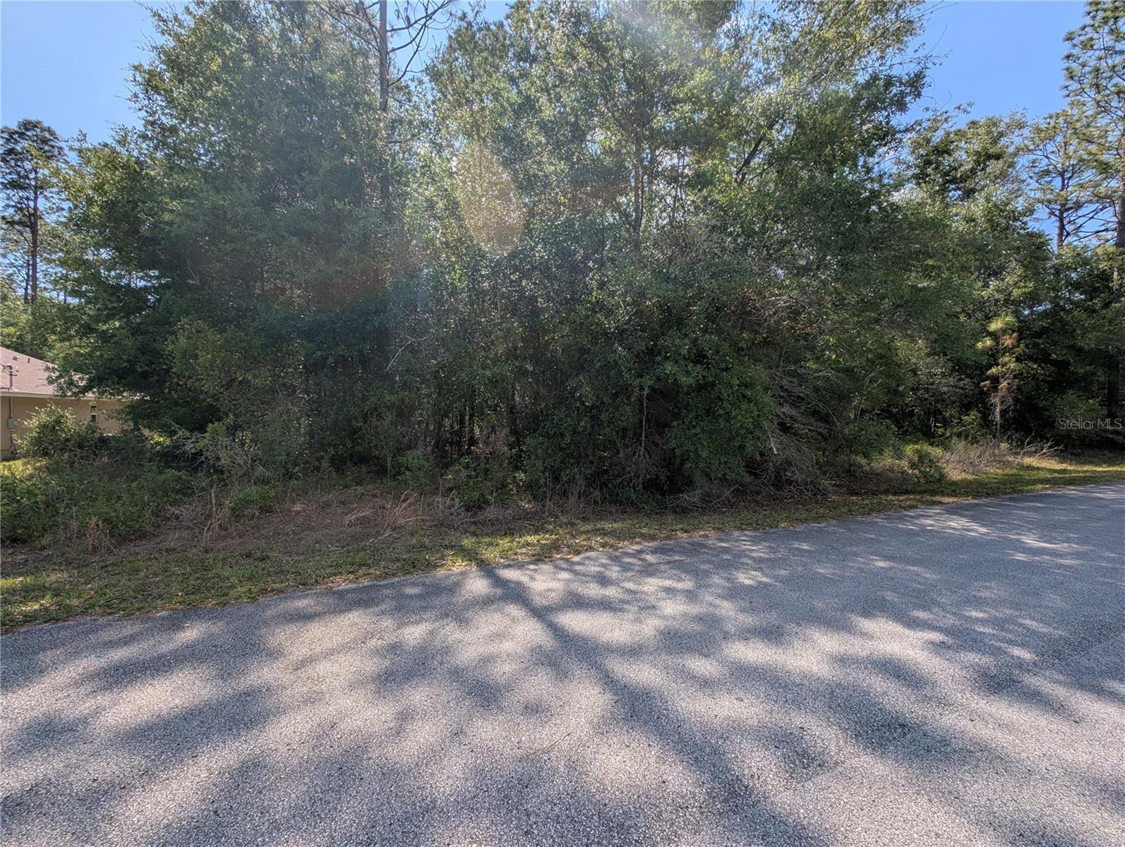 202ND CT, DUNNELLON, FL, 34431