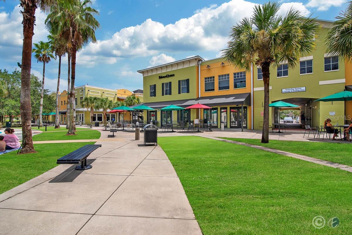 FISHHAWK RANCH PH 02, LITHIA, FL, 33547