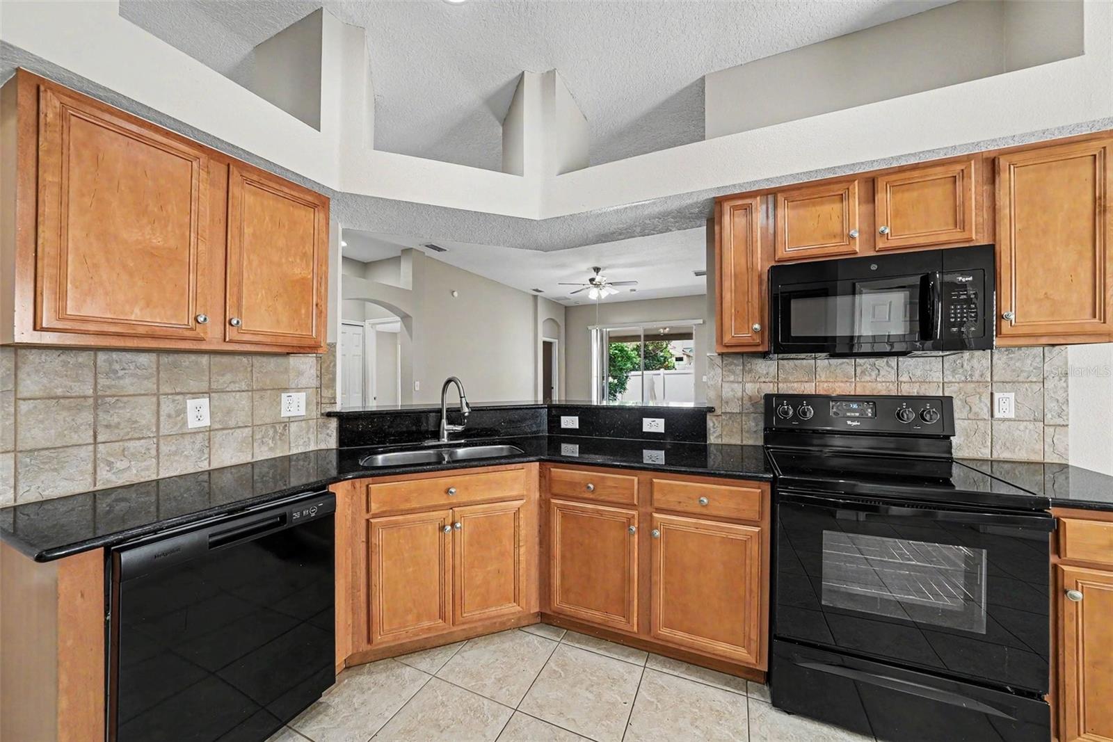 15950 LEATHERLEAF LN, LAND O LAKES, FL, 34638