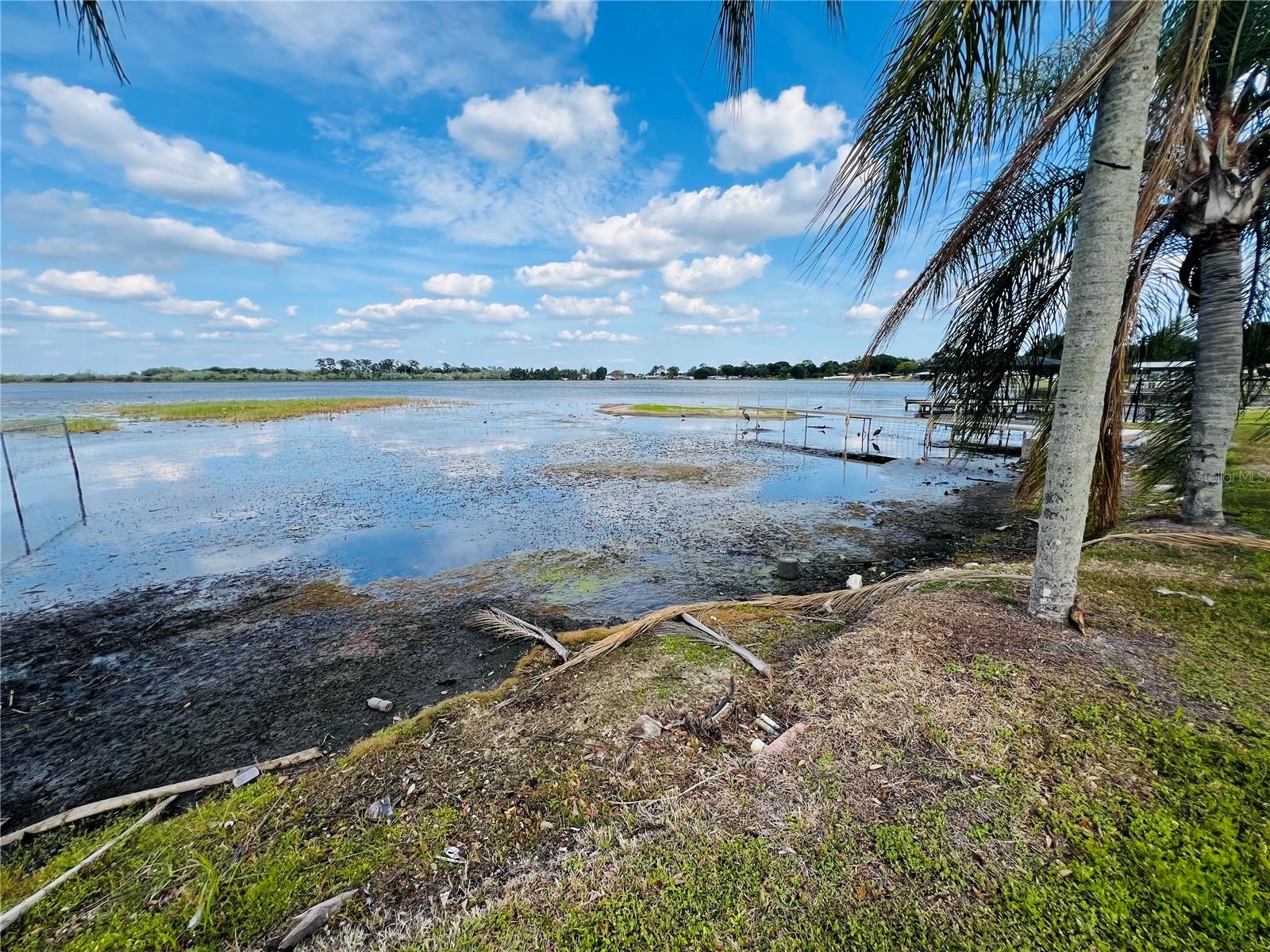 908 LAKE JESSIE DR, WINTER HAVEN, FL, 33881