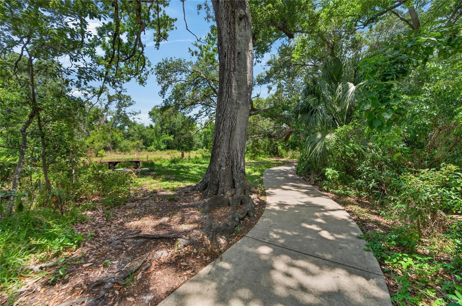 6670 26TH WAY N, ST PETERSBURG, FL, 33703