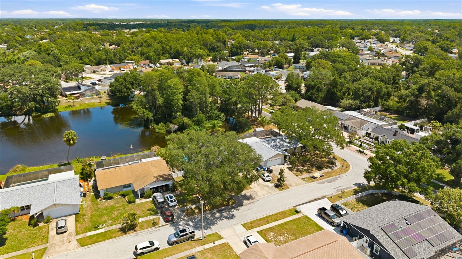 6640 WINDING OAK DR, TAMPA, FL, 33625