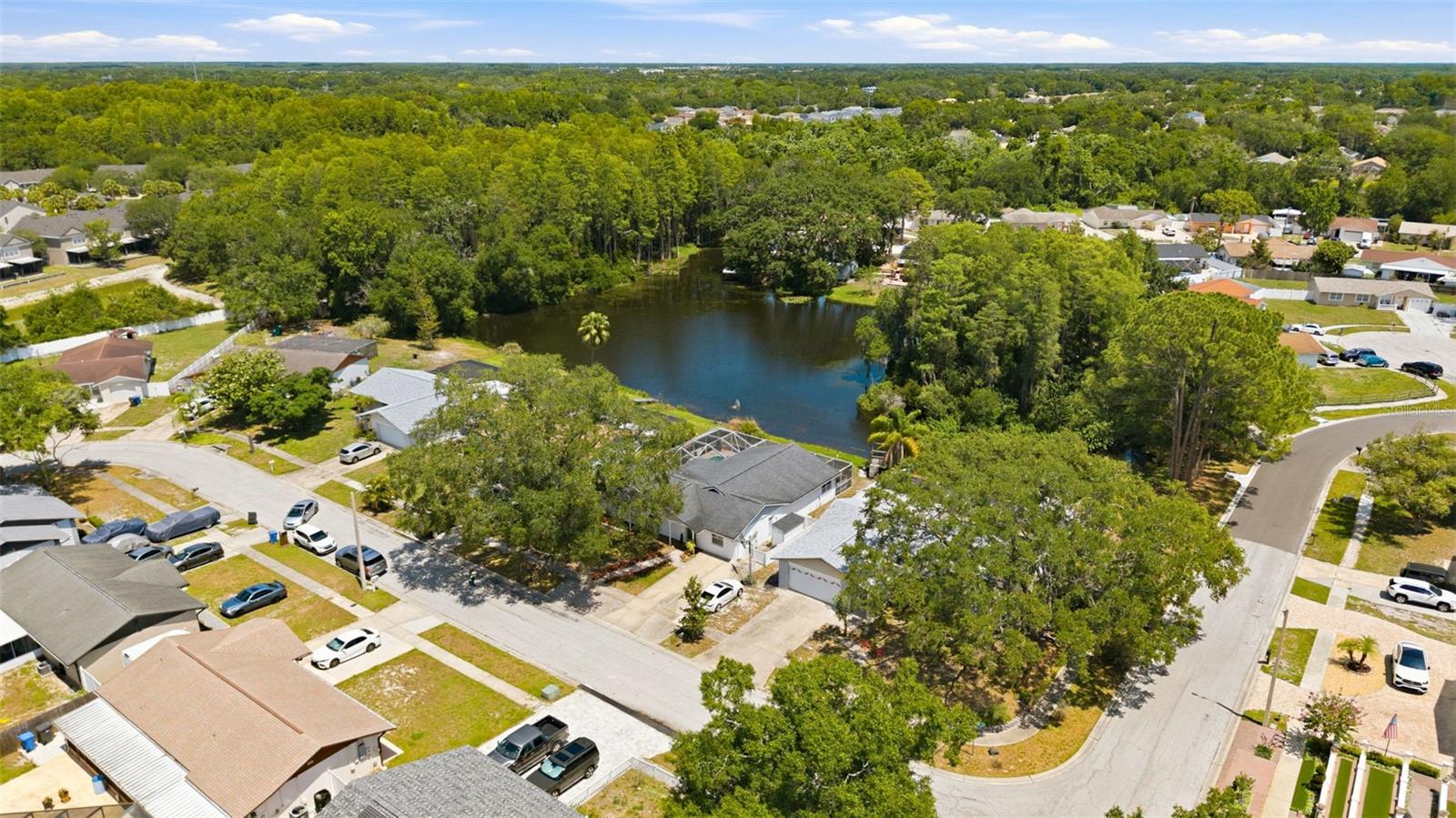 6640 WINDING OAK DR, TAMPA, FL, 33625